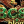 Bc8blog